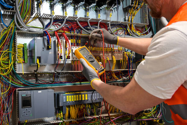 Best Licensed Electrician  in The Homesteads, TX