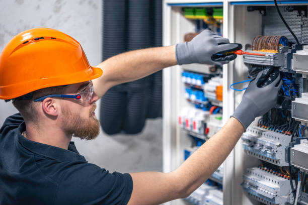 Best Electrical Upgrades for Homes  in The Homesteads, TX